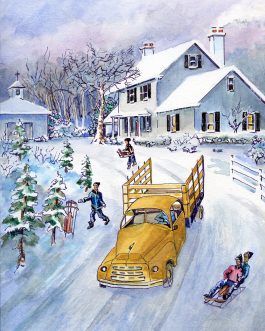 Sledding at Gleneayre