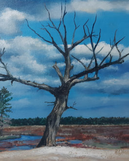 Tree – Sky Above Series