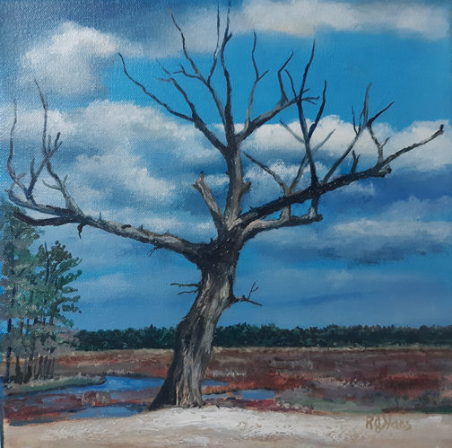 Tree - Sky Above Series