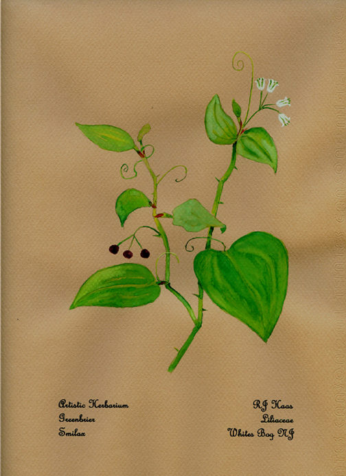 GreenBrier Card